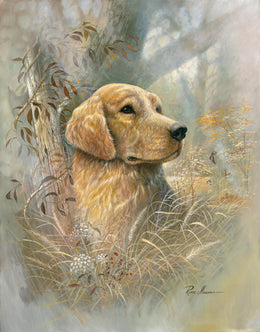 Golden Beauty By Ruane Manning (Small)(Framed) Giclee Canvas
