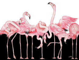 Black And White Meets Flamingos By Elizabeth Medley (Framed)(Small) Giclee Canvas