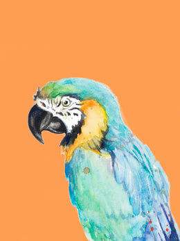 Parrot Portrait By Patricia Pinto (Framed)(Small) Giclee Canvas