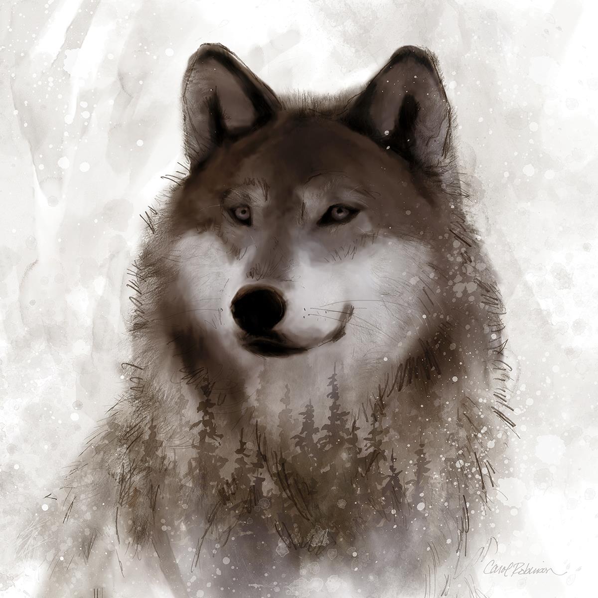 Forest Wolf By Carol Robinson (Framed)(Small) Giclee Canvas