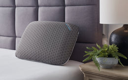 Zephyr 2.0 Graphene Contour Pillow Type
