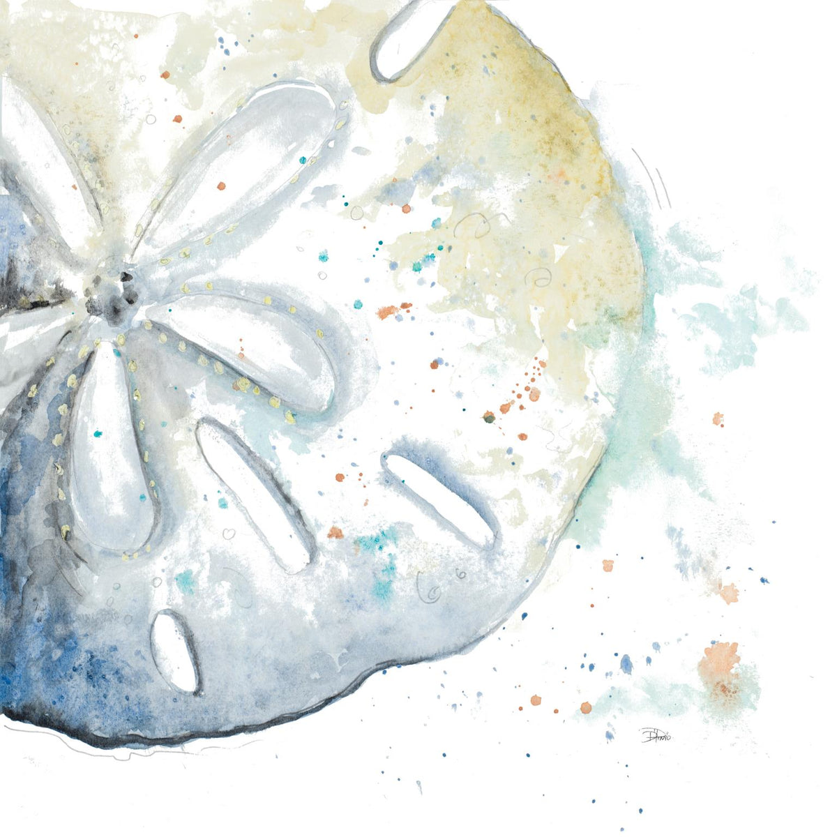 Water Sand Dollarpatriciapinto (Small) Giclee Canvas
