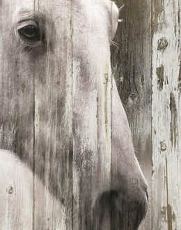 Contemplation By Carol Robinson (Small) Giclee Canvas
