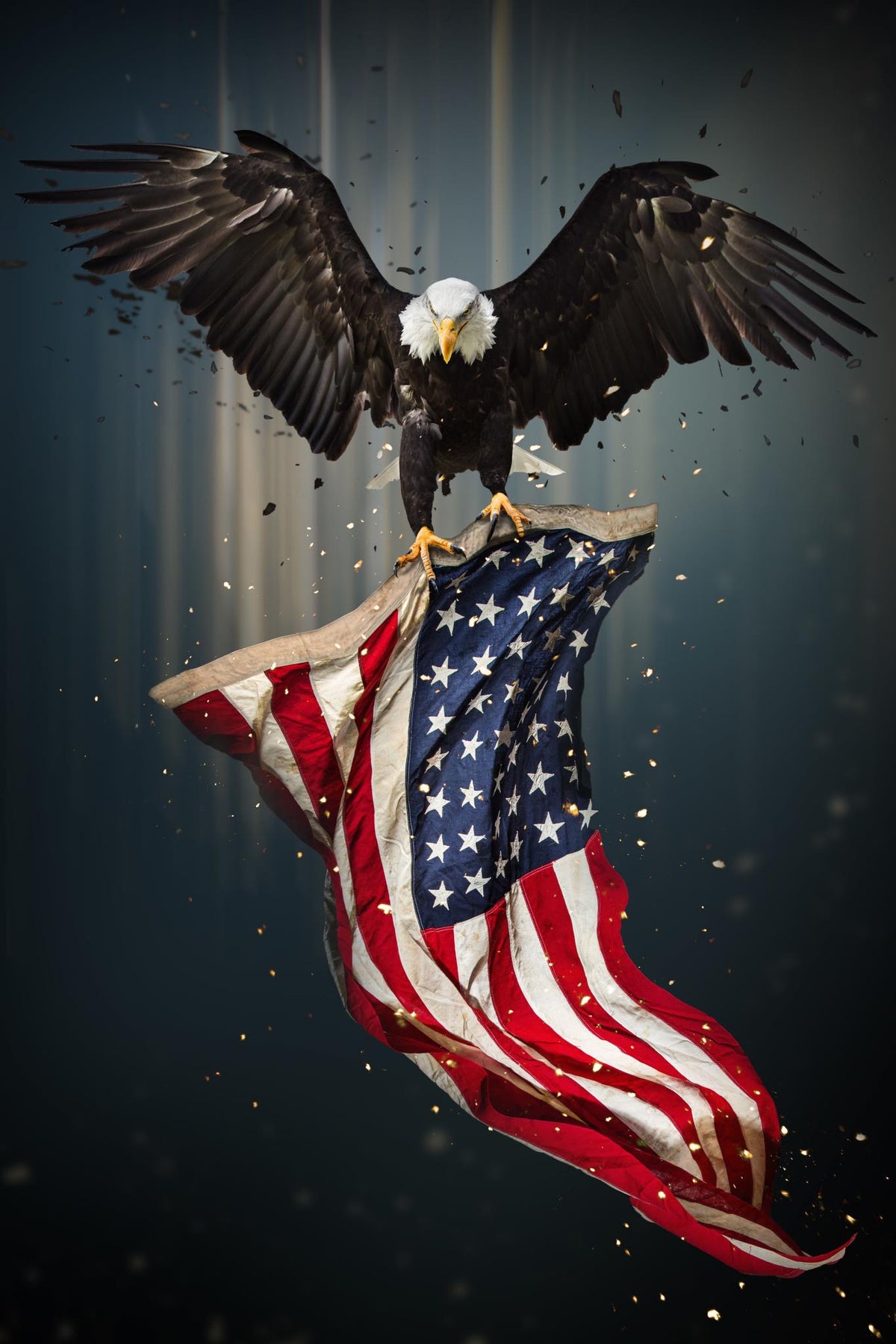 Eagle With Flag (Small) Giclee Canvas