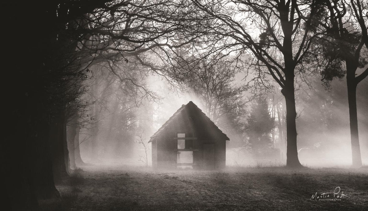 The Shed By Martin Podt (Small) Giclee Canvas