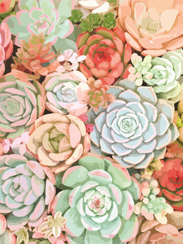 Â Succulent By Tamara Robinson (Small) Giclee Canvas