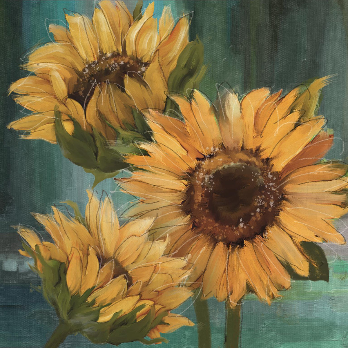 Sunflower I By Conrad Knutsen (Small) Giclee Canvas