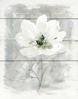 Farmhouse Rose Ii By Carol Robinson (Small) Giclee Canvas