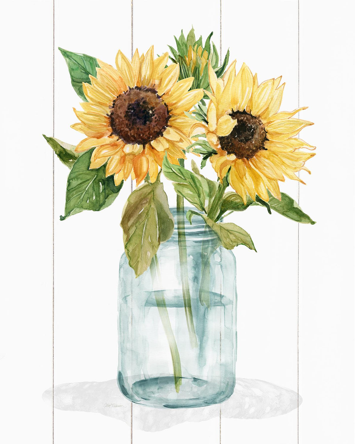Sunny Day Ii By Carol Robinson (Small) Giclee Canvas
