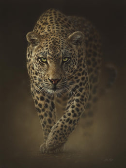 Leopard By Collin Bogle (Small) Giclee Canvas