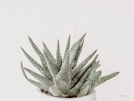 Boho Succulent By Jennifer Rigsby (Small) Giclee Canvas