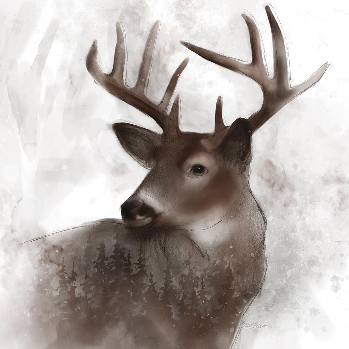 Forest Deer By Carol Robinson (Small) Giclee Canvas
