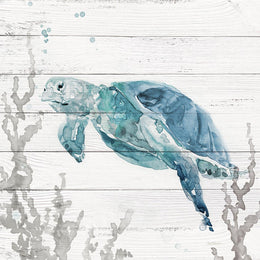 Aqua Turtle Ii By Carol Robinson (Small) Giclee Canvas