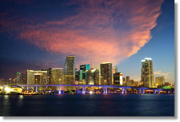 Temp Glass W/ Foil - Miami Skyline Tempered Glass