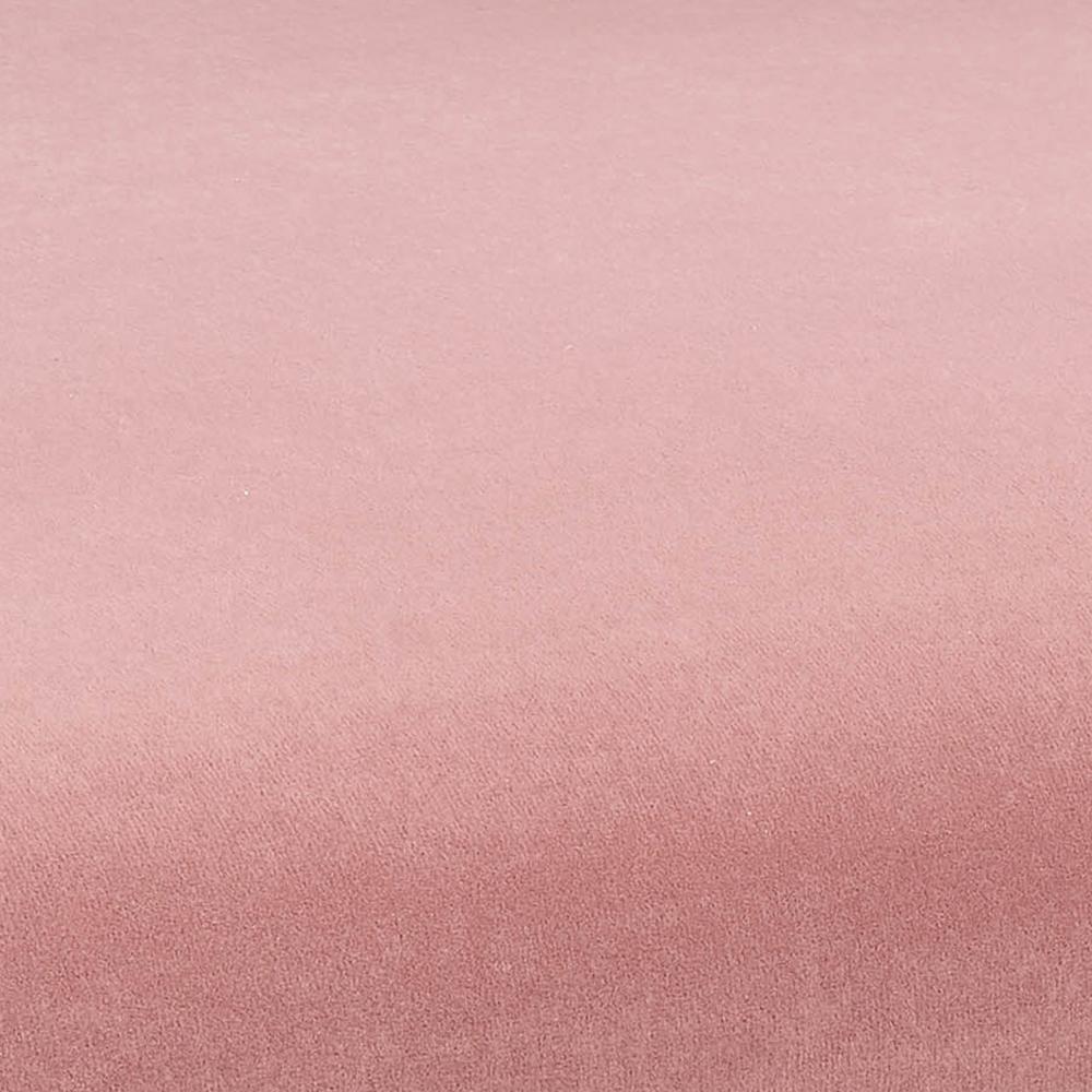 Kim Velvet Chair in Blush