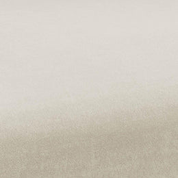 Kim Velvet Chair in Cream