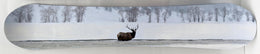 Snowboard - Elk Mixed Media